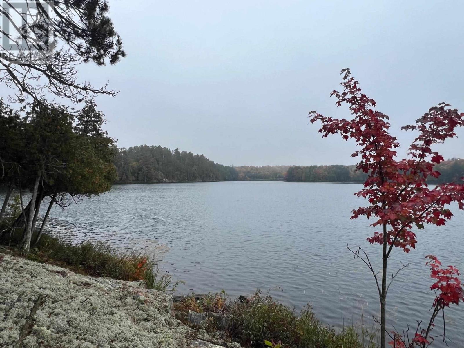 21566 Highway 17 E, Huron Shores, Ontario  P0R 1H0 - Photo 6 - SM262804
