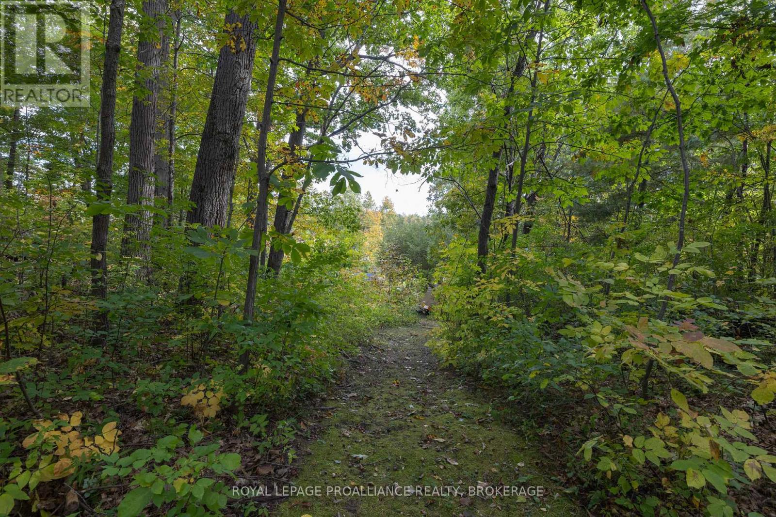 106 Old River Road, Leeds And The Thousand Islands, Ontario  K0E 1R0 - Photo 34 - X13873654