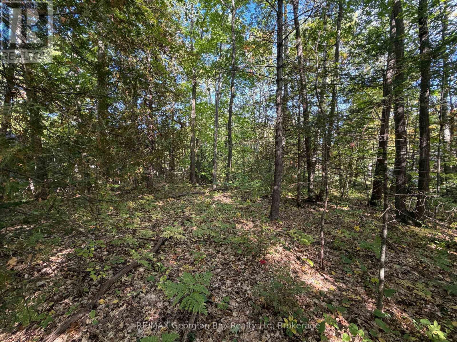 69 Pinecone Avenue, Tiny, Ontario L9M 0J2 - Photo 4 - S13873586