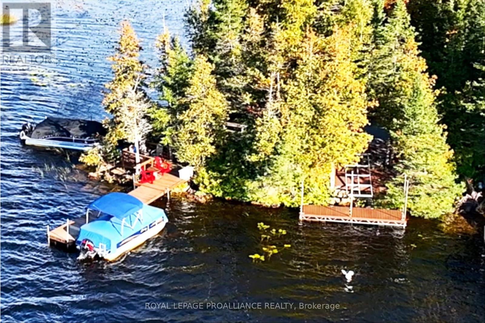 139 Lakeland Avenue S, Trent Lakes, Ontario K0L 1J0 - Photo 45 - X13868682