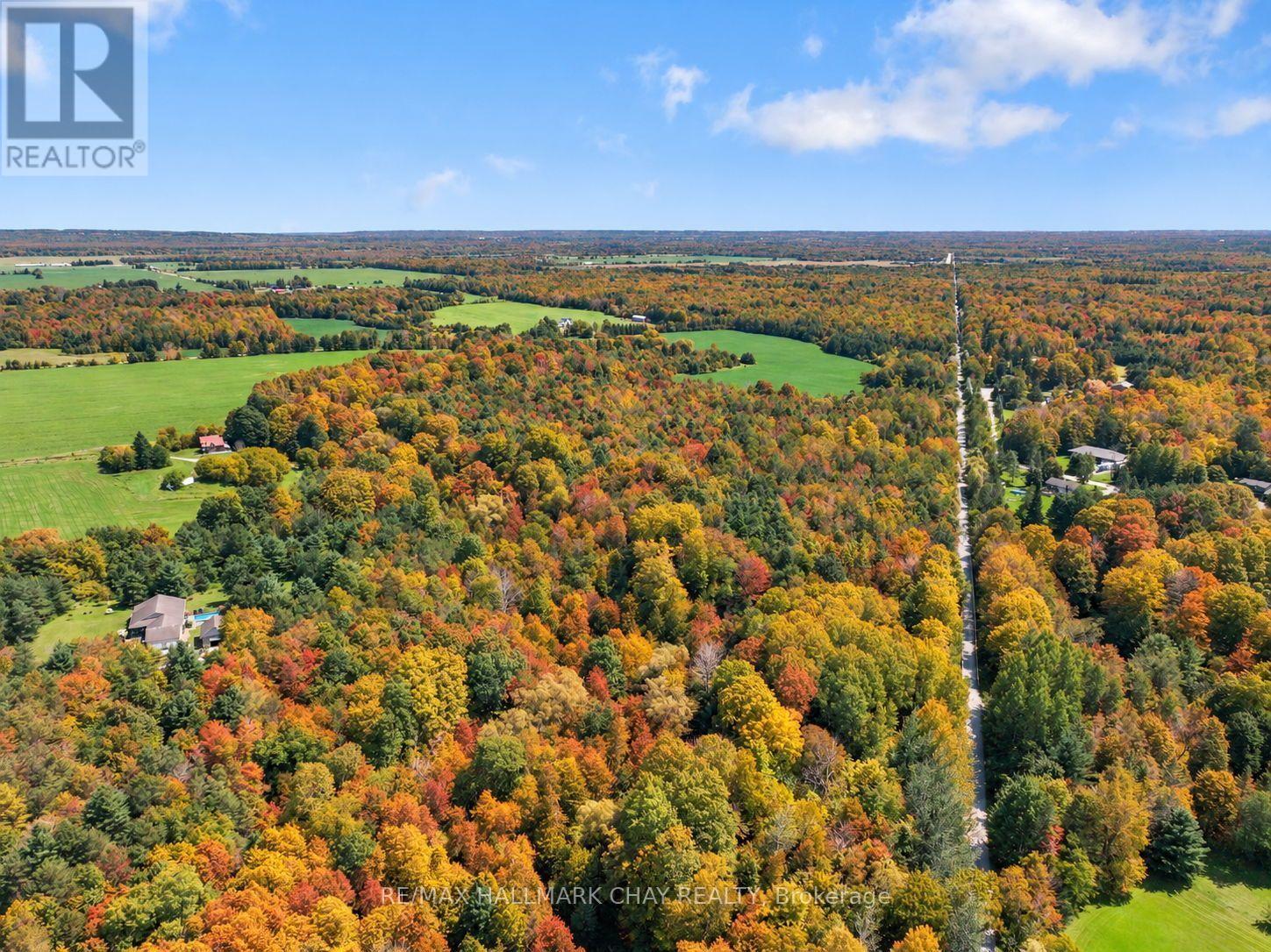 5247 County Road 9 Road, Clearview, Ontario  L0M 1N0 - Photo 45 - S13796868