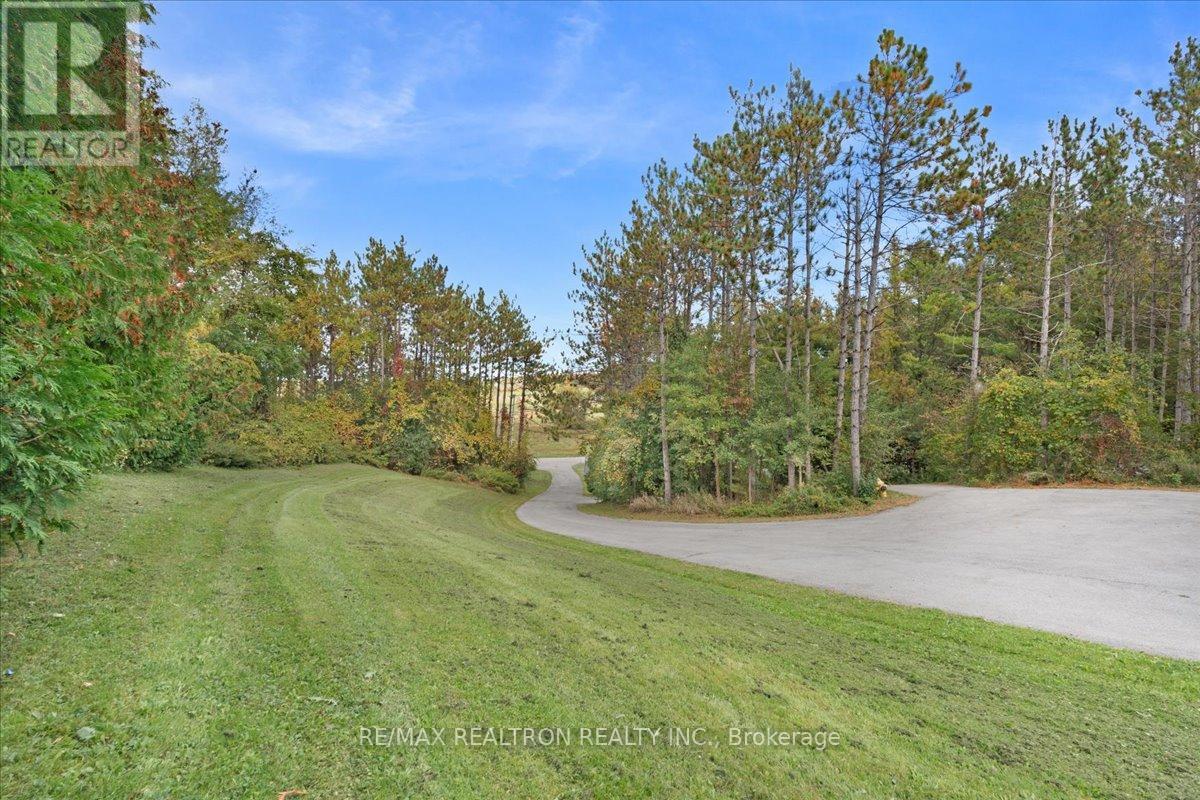 4761 9th Line, New Tecumseth, Ontario  L0G 1A0 - Photo 3 - N13873768