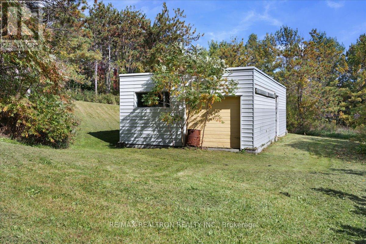 4761 9th Line, New Tecumseth, Ontario  L0G 1A0 - Photo 42 - N13873768