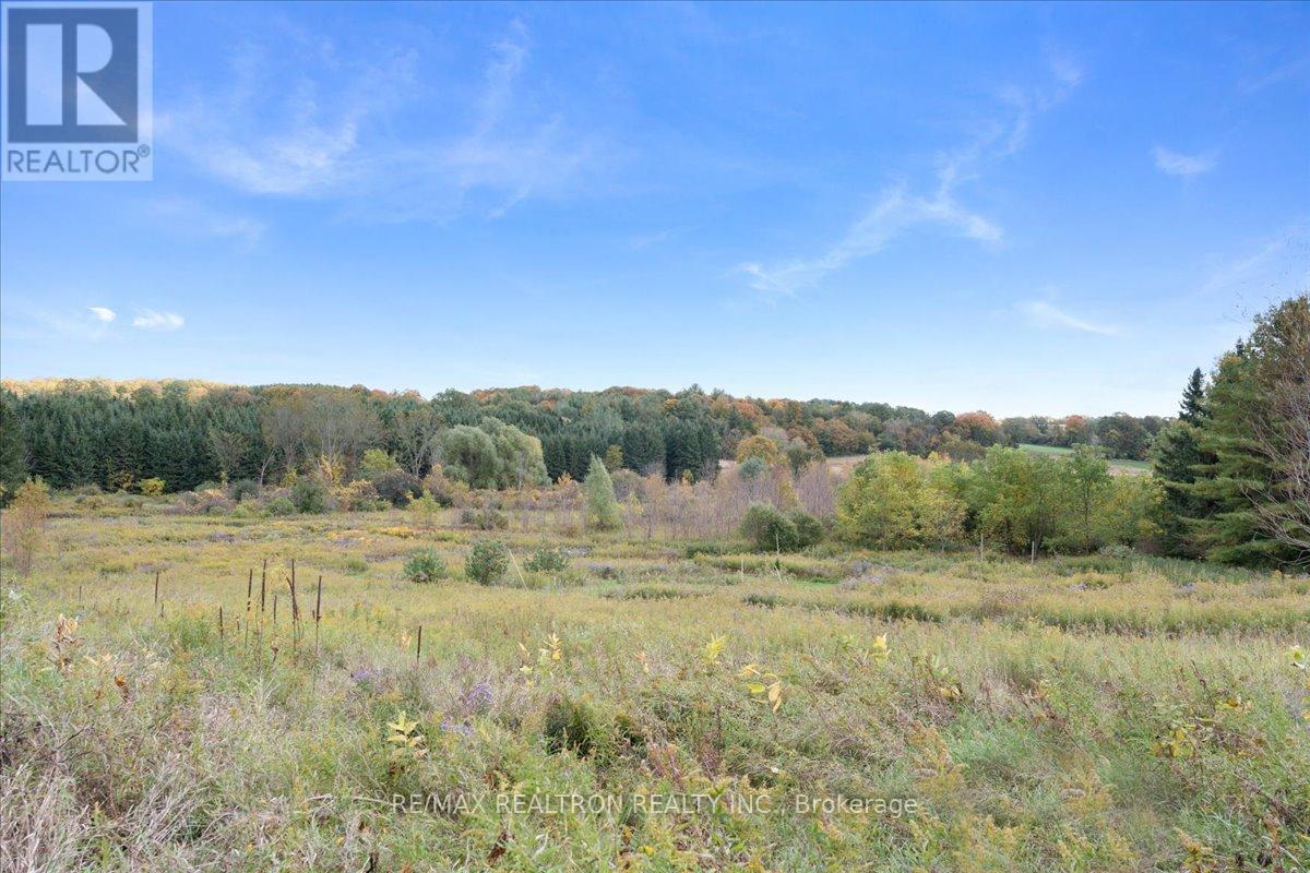 4761 9th Line, New Tecumseth, Ontario  L0G 1A0 - Photo 48 - N13873768