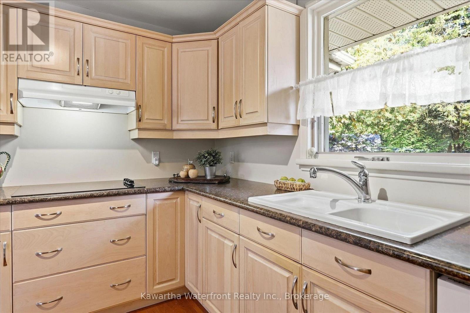25 Government Dock Road, Kawartha Lakes, Ontario  K0M 2L0 - Photo 12 - X13874172