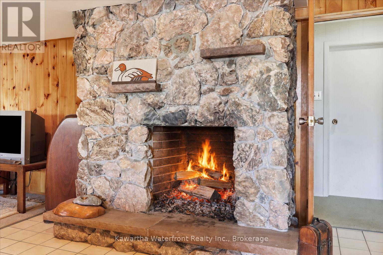 25 Government Dock Road, Kawartha Lakes, Ontario  K0M 2L0 - Photo 23 - X13874172