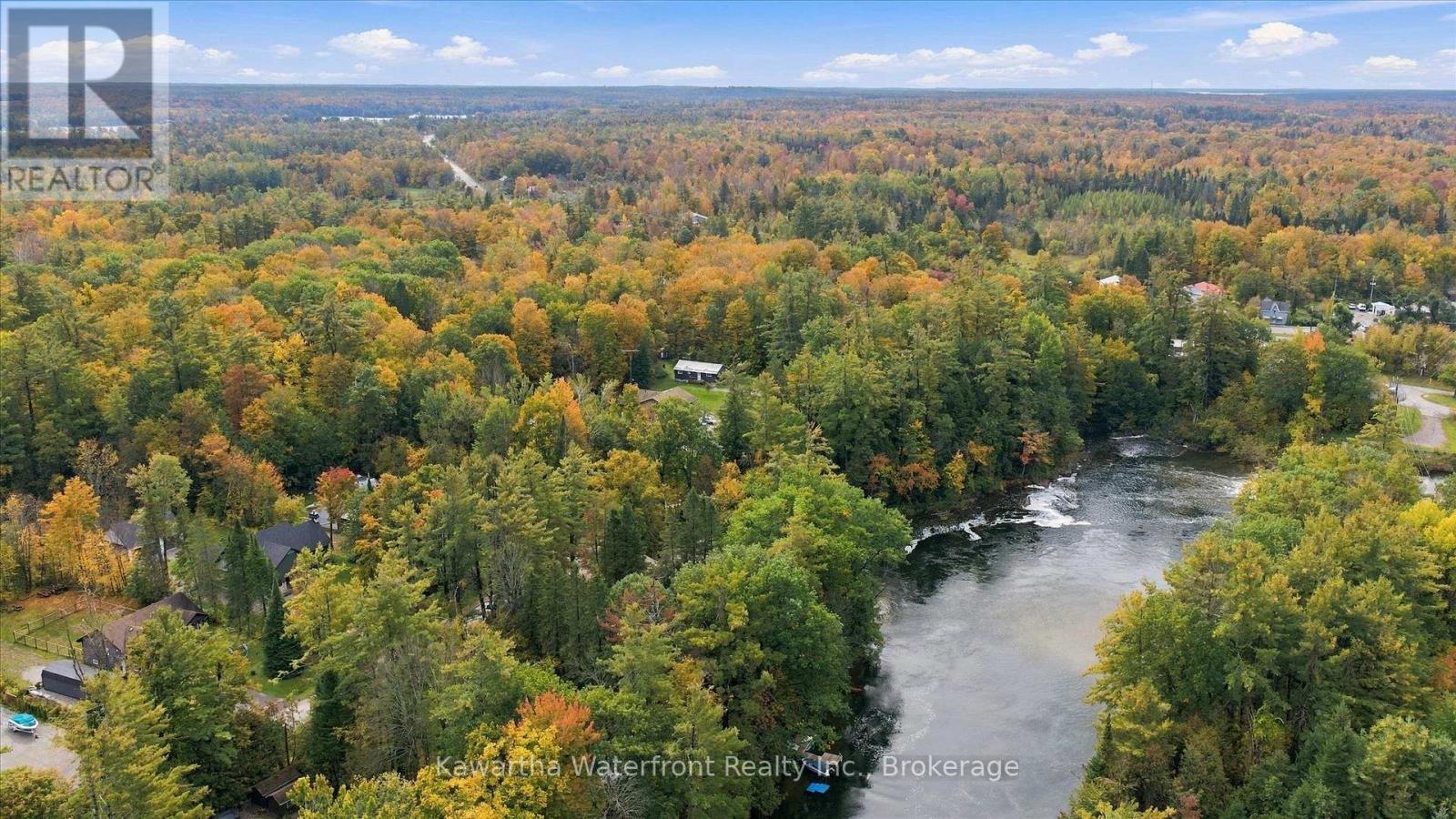 25 Government Dock Road, Kawartha Lakes, Ontario  K0M 2L0 - Photo 47 - X13874172