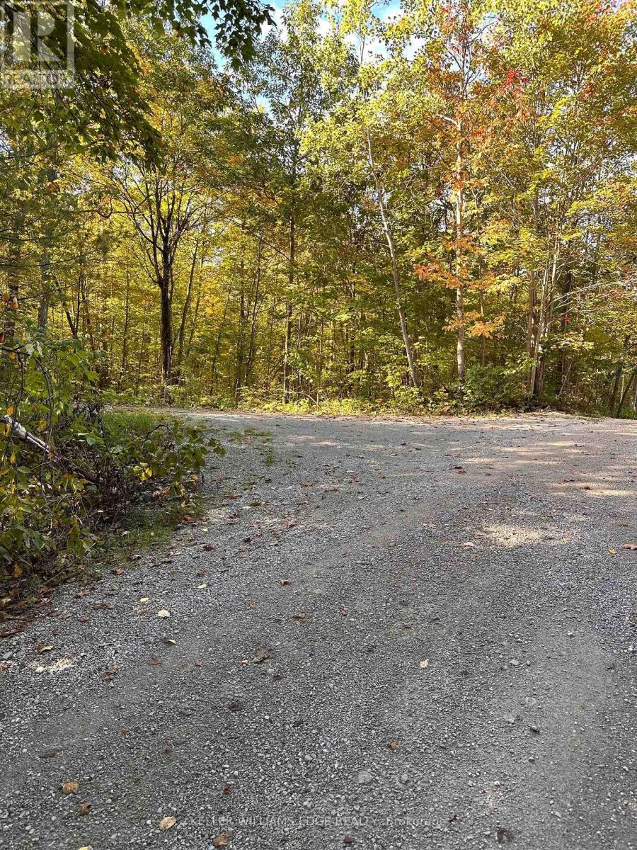 216 Smooth Rock Road, Georgian Bay, Ontario  L0K 1S0 - Photo 30 - X13168530
