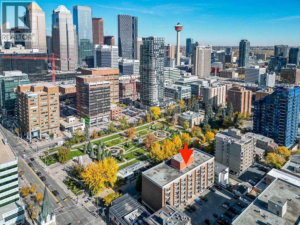 509, 339 13 Avenue SW