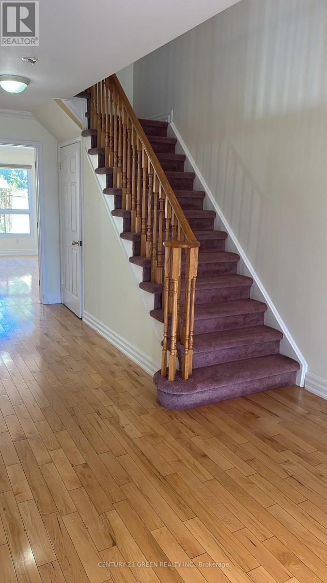 507 Wildgrass Road, Mississauga, Ontario  L5B 4H8 - Photo 13 - W13874458