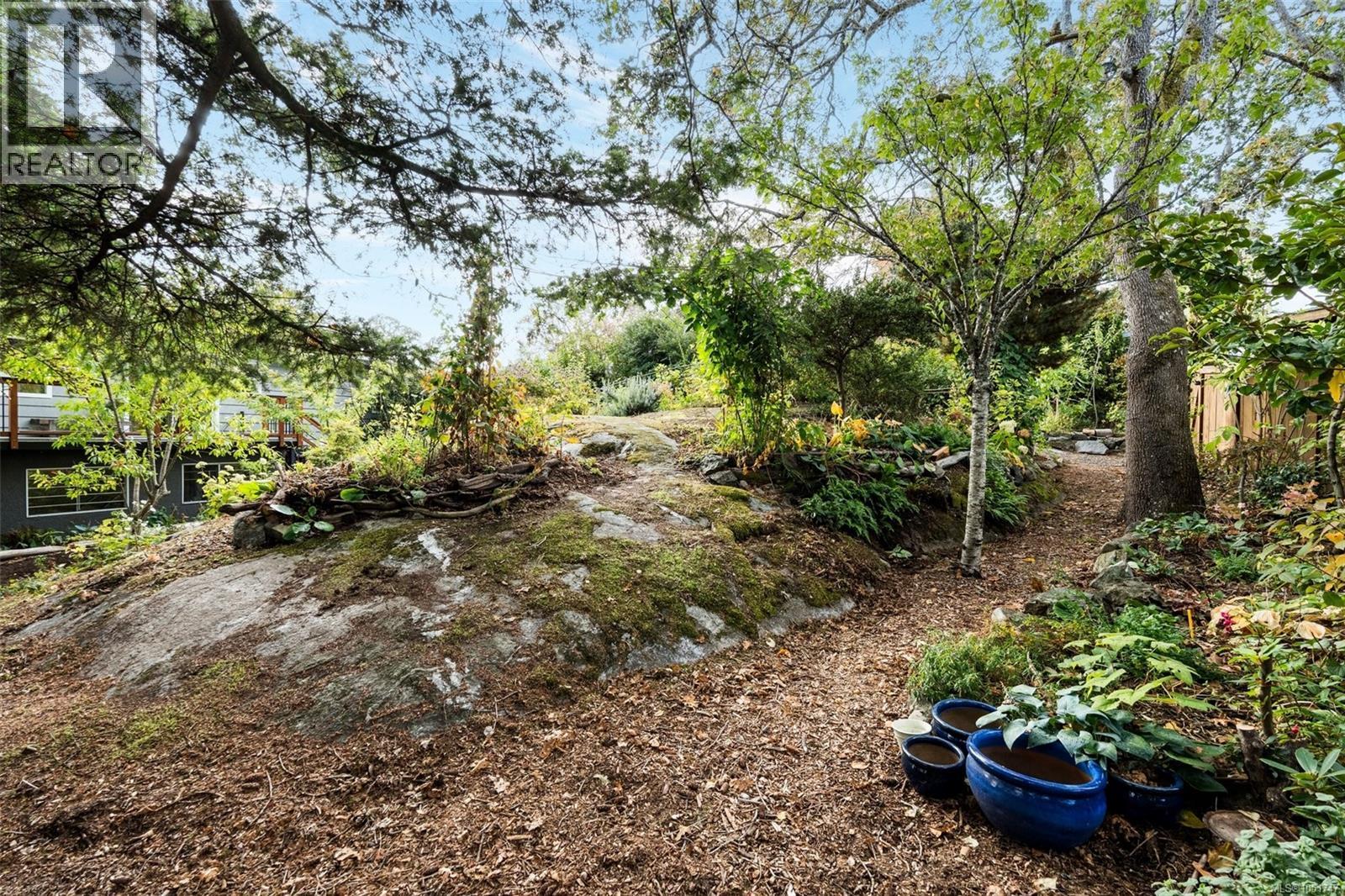 994 Ridgeway St, Saanich, British Columbia V8X 3C4 - Photo 50 - 1051747