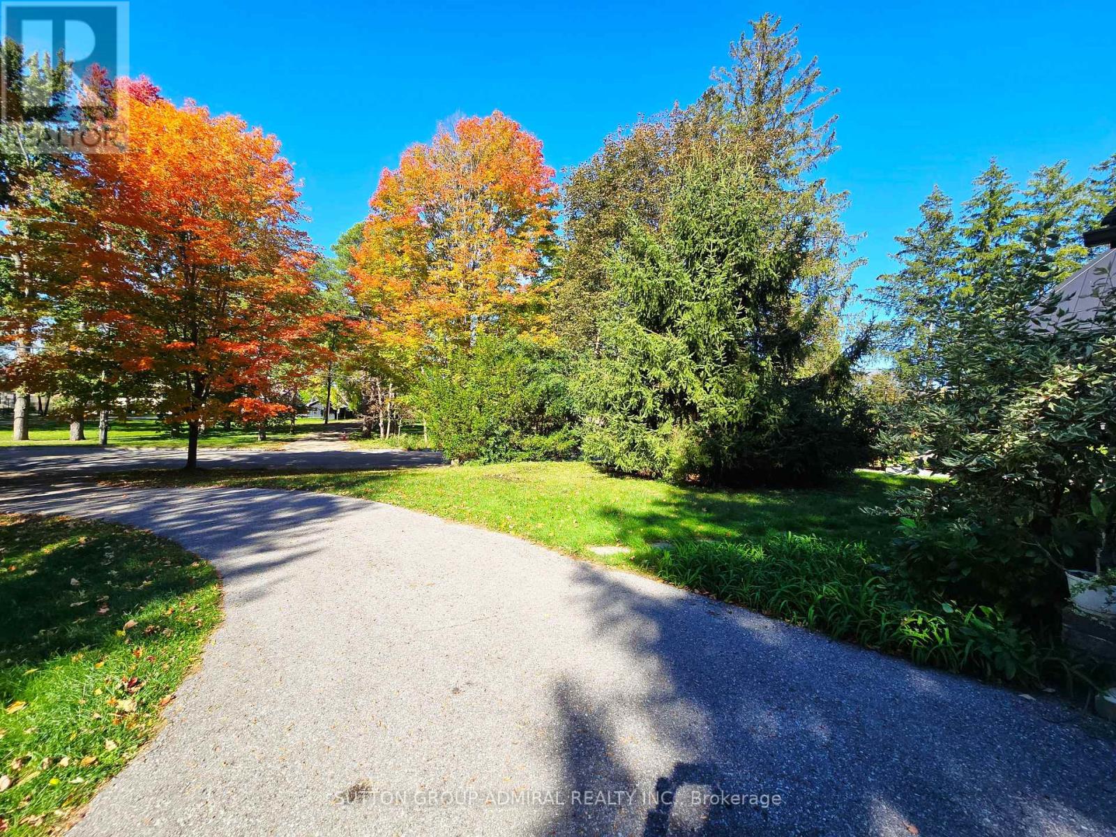 501 Sunset Beach Road, Richmond Hill, Ontario  L4E 3J3 - Photo 3 - N13874812