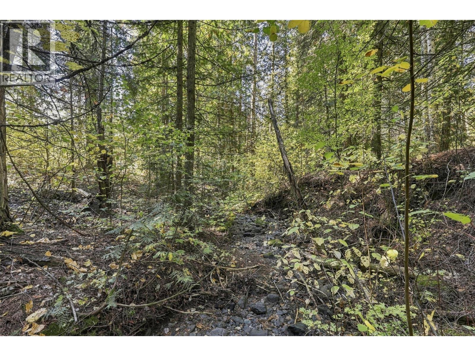 8488 Black Mountain Road, Chase, British Columbia  V0E 1M0 - Photo 12 - 10402899