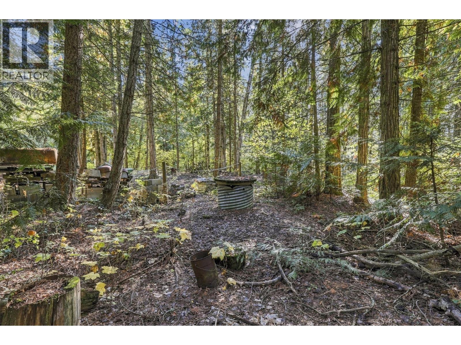 8488 Black Mountain Road, Chase, British Columbia  V0E 1M0 - Photo 9 - 10402899