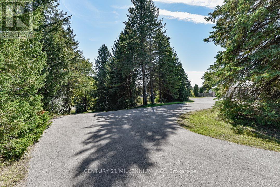 18350 Duffys Lane, Caledon, Ontario  L7E 3C4 - Photo 12 - W13874826