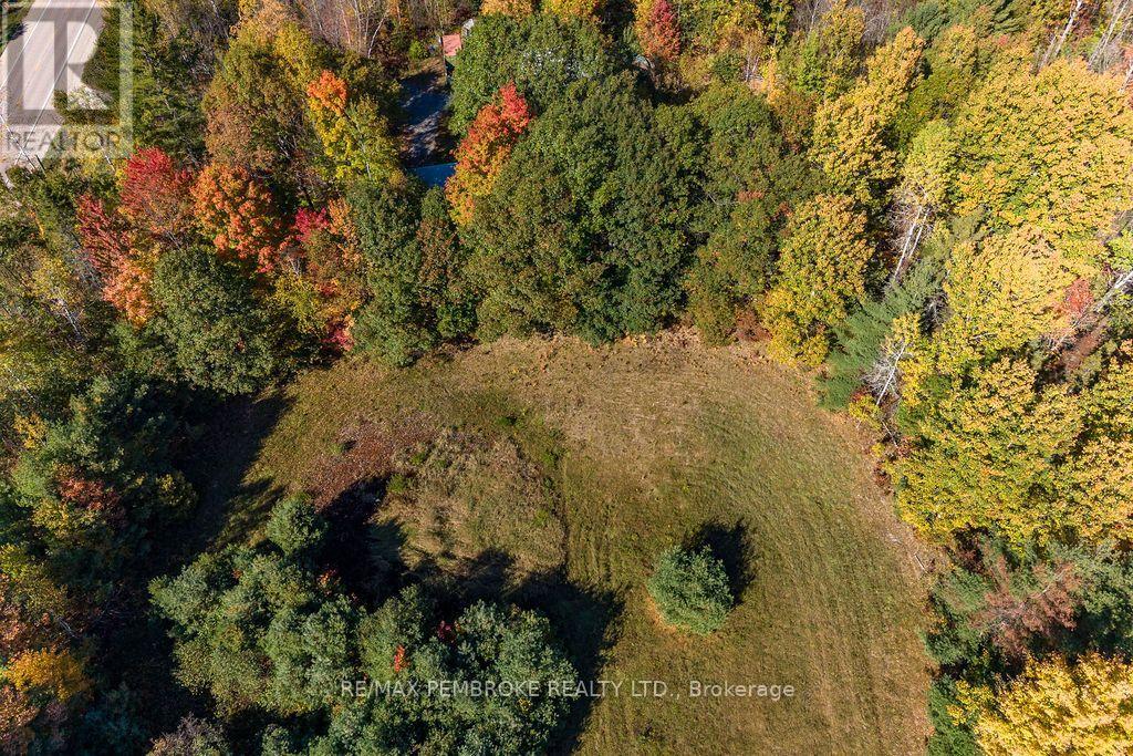 37800 41 Highway, North Algona Wilberforce, Ontario  K8A 6W4 - Photo 46 - X13875008