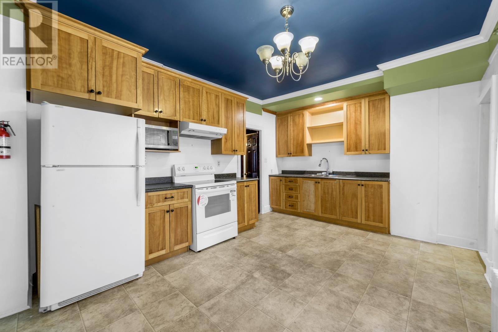 96 Brazil Street, St. John's, Newfoundland & Labrador  A1C 4V4 - Photo 10 - 1304164