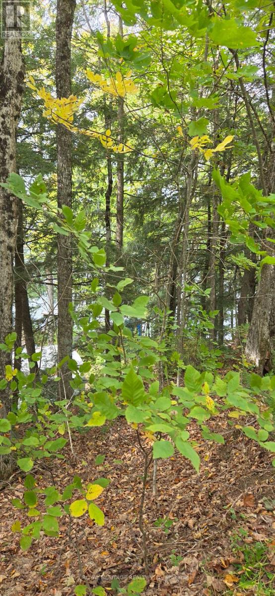 1280b Austris Road, Frontenac, Ontario  K0H 1C0 - Photo 34 - X13875194