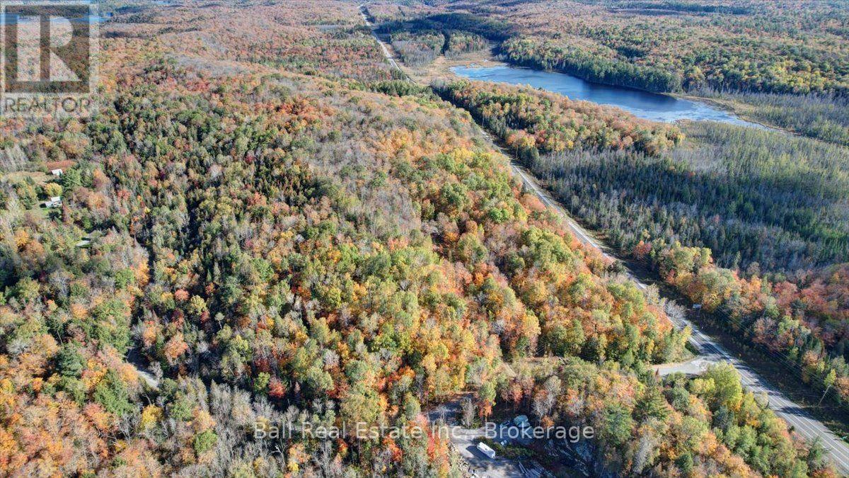 23 Concession 18 Road, North Kawartha, Ontario  K0L 1A0 - Photo 6 - X13875460