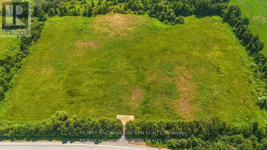 0 Con 10 Lot 5 Old Norwood Road, Havelock-Belmont-Methuen, Ontario  K0L 1Z0 - Photo 6 - X13875638
