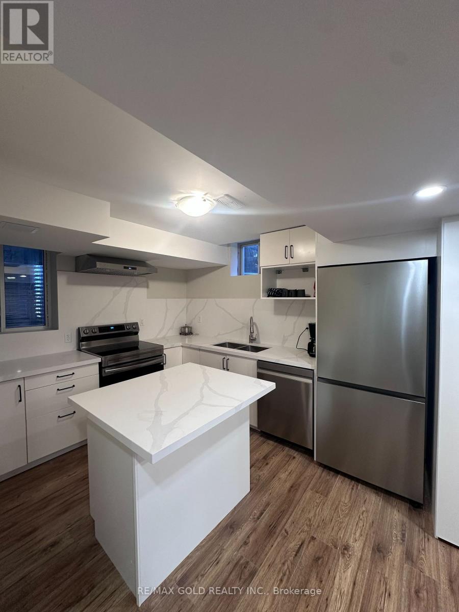 Lower - 24 Aird Court, Milton, Ontario  L9T 3Y1 - Photo 4 - W13875684