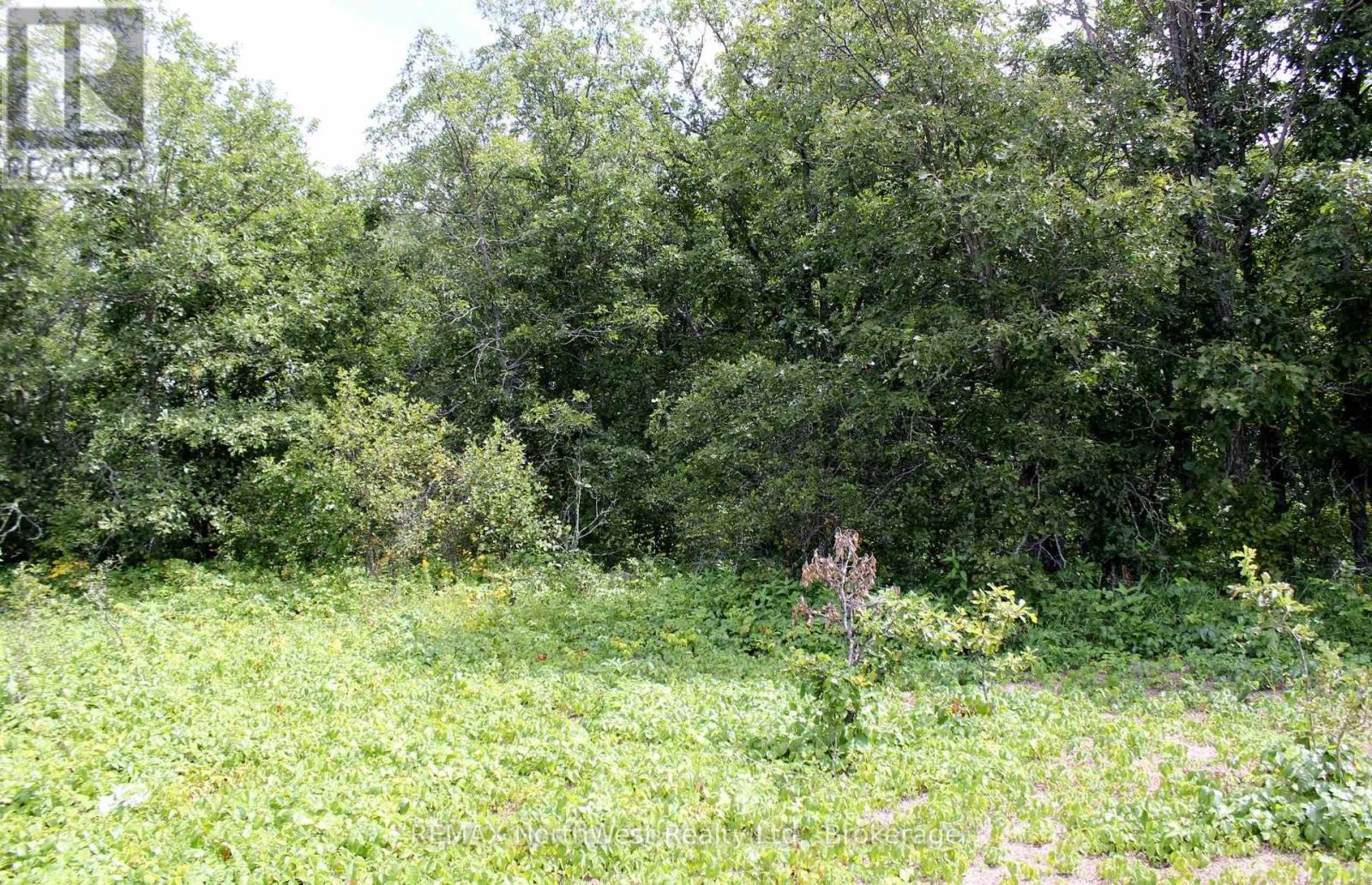 222 Morrison Rd, Lake Of The Woods, Ontario  P0W 1J0 - Photo 21 - X13413986