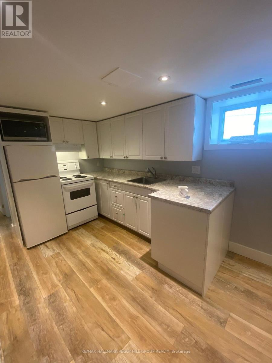 Lower - 148 Penetang Street, Barrie, Ontario  L4M 1V8 - Photo 5 - S13876210