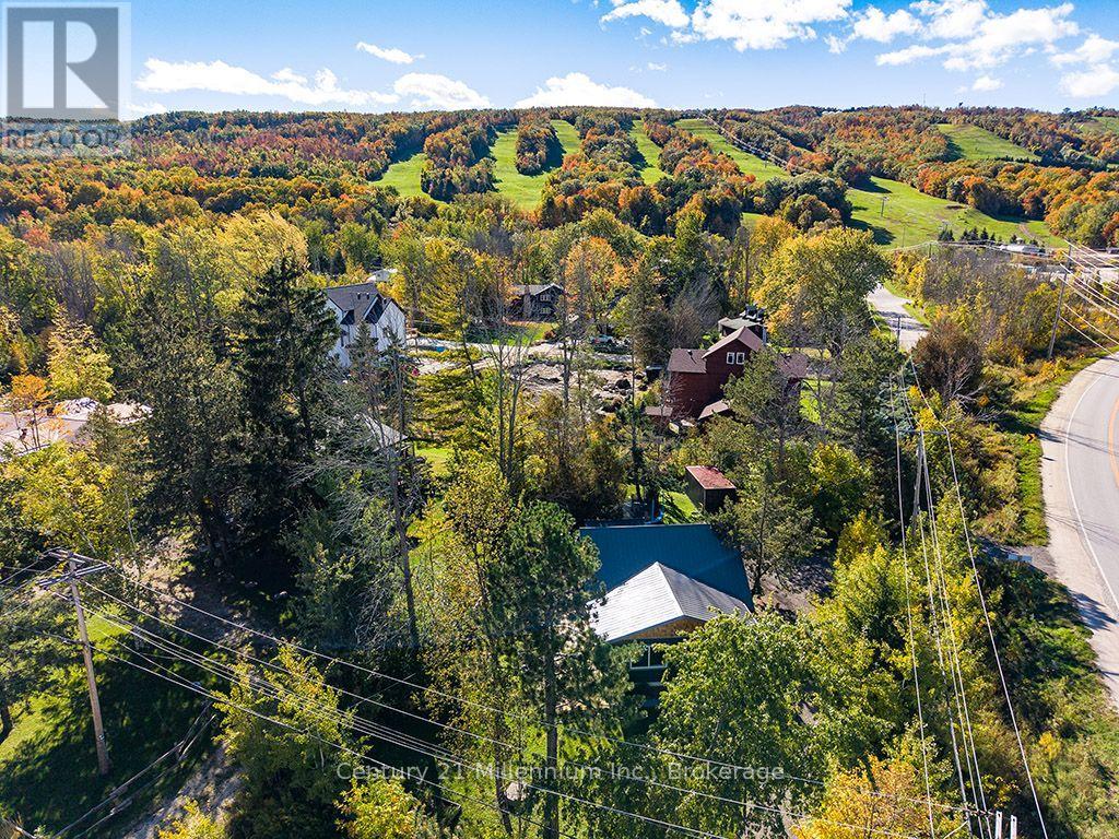 102 Martin Grove, Blue Mountains, Ontario L9Y 0N5 - Photo 44 - X13876334