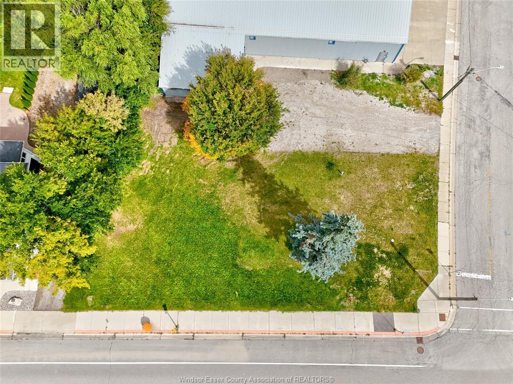 134 County Rd 34 W., Cottam, Ontario  N0R 1B0 - Photo 9 - 26024469