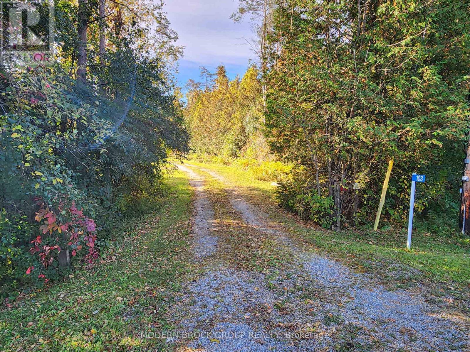 103 County 8 Road, Elizabethtown-Kitley, Ontario  K0E 1Y0 - Photo 48 - X13876512