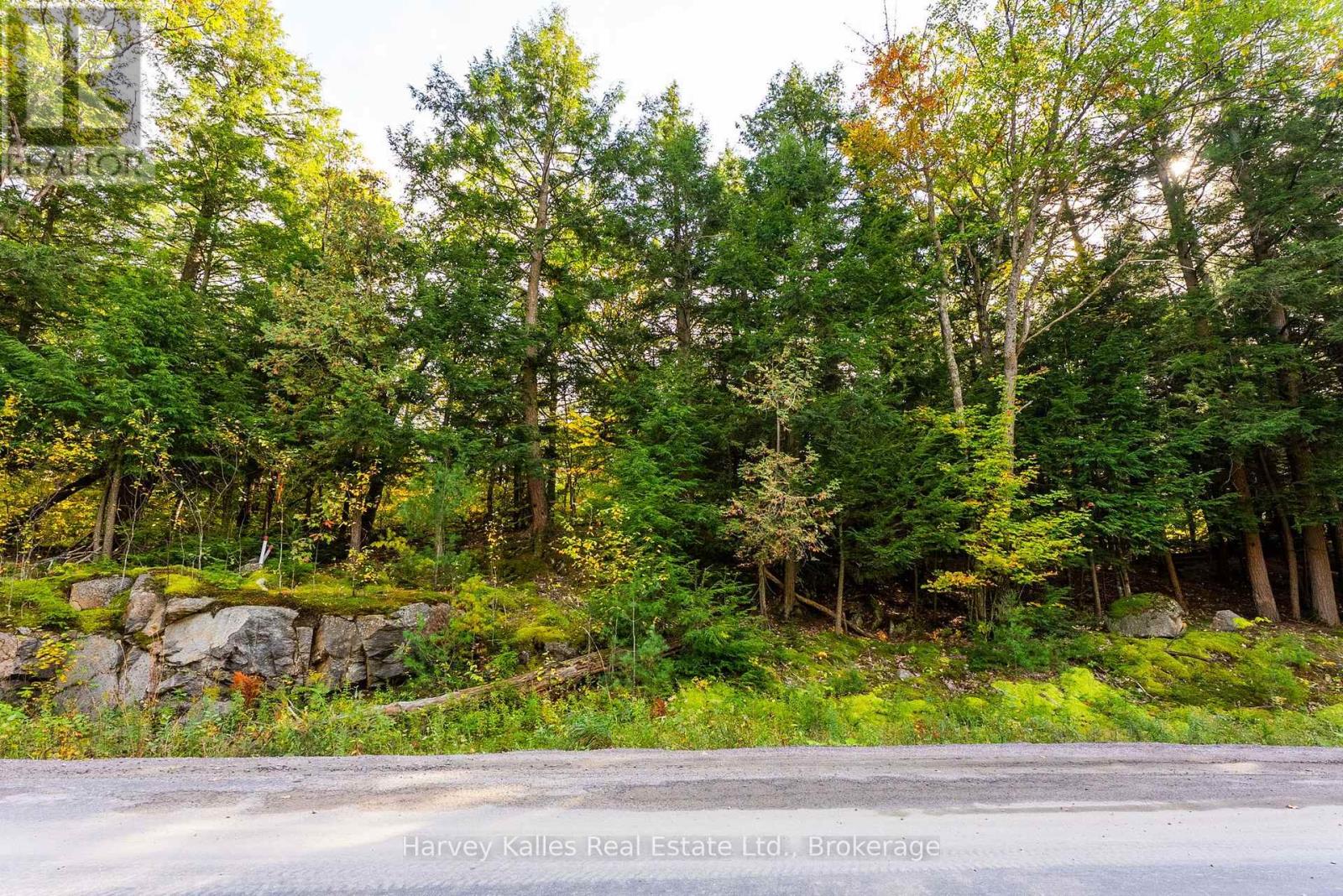 Across From 1210 Rostrevor Road, Muskoka Lakes, Ontario  P0B 1P0 - Photo 5 - X13876570