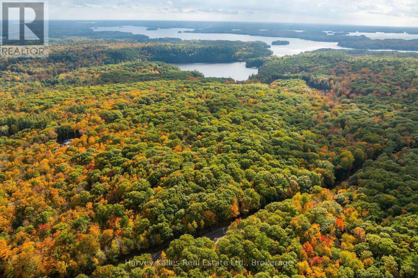 Across From 1210 Rostrevor Road, Muskoka Lakes, Ontario  P0B 1P0 - Photo 8 - X13876570