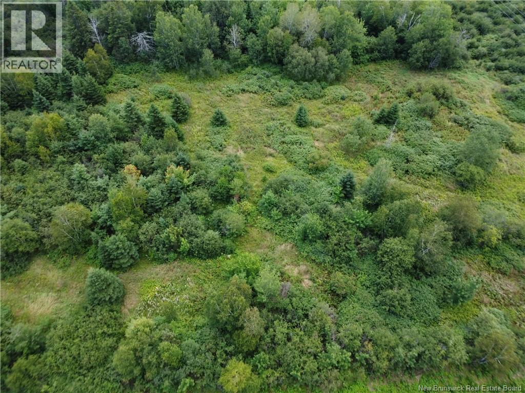 Lot Jean-Louis, Tremblay, New Brunswick  E8J 3B8 - Photo 10 - NB149370