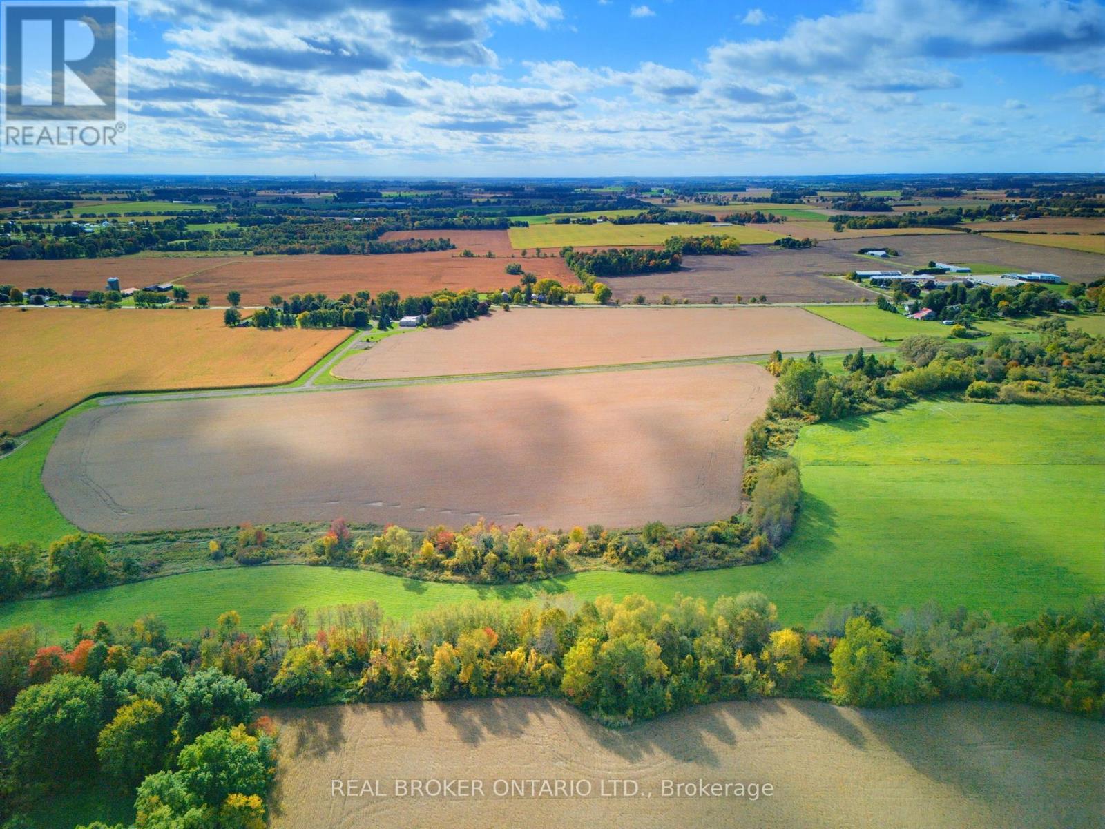 595386 Highway 59 Highway, Woodstock, Ontario  N4S 7W1 - Photo 6 - X13876724