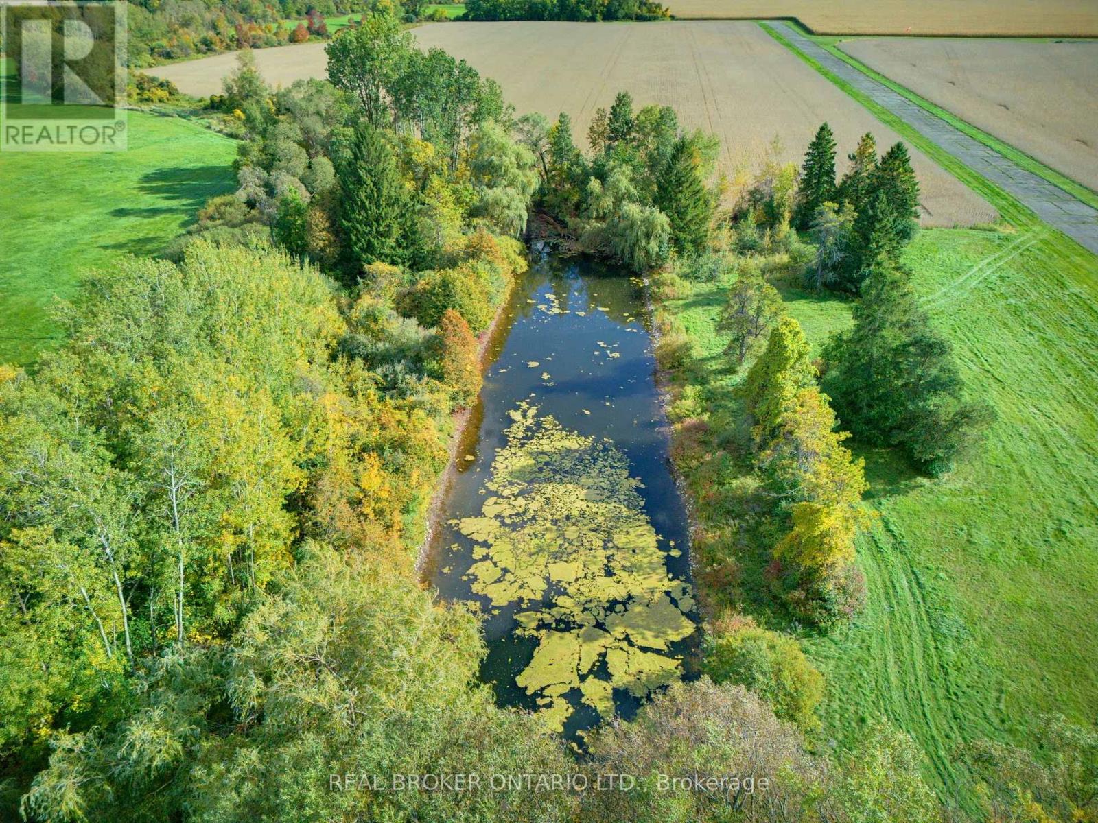 595386 Highway 59 Highway, Woodstock, Ontario  N4S 7W1 - Photo 9 - X13876724