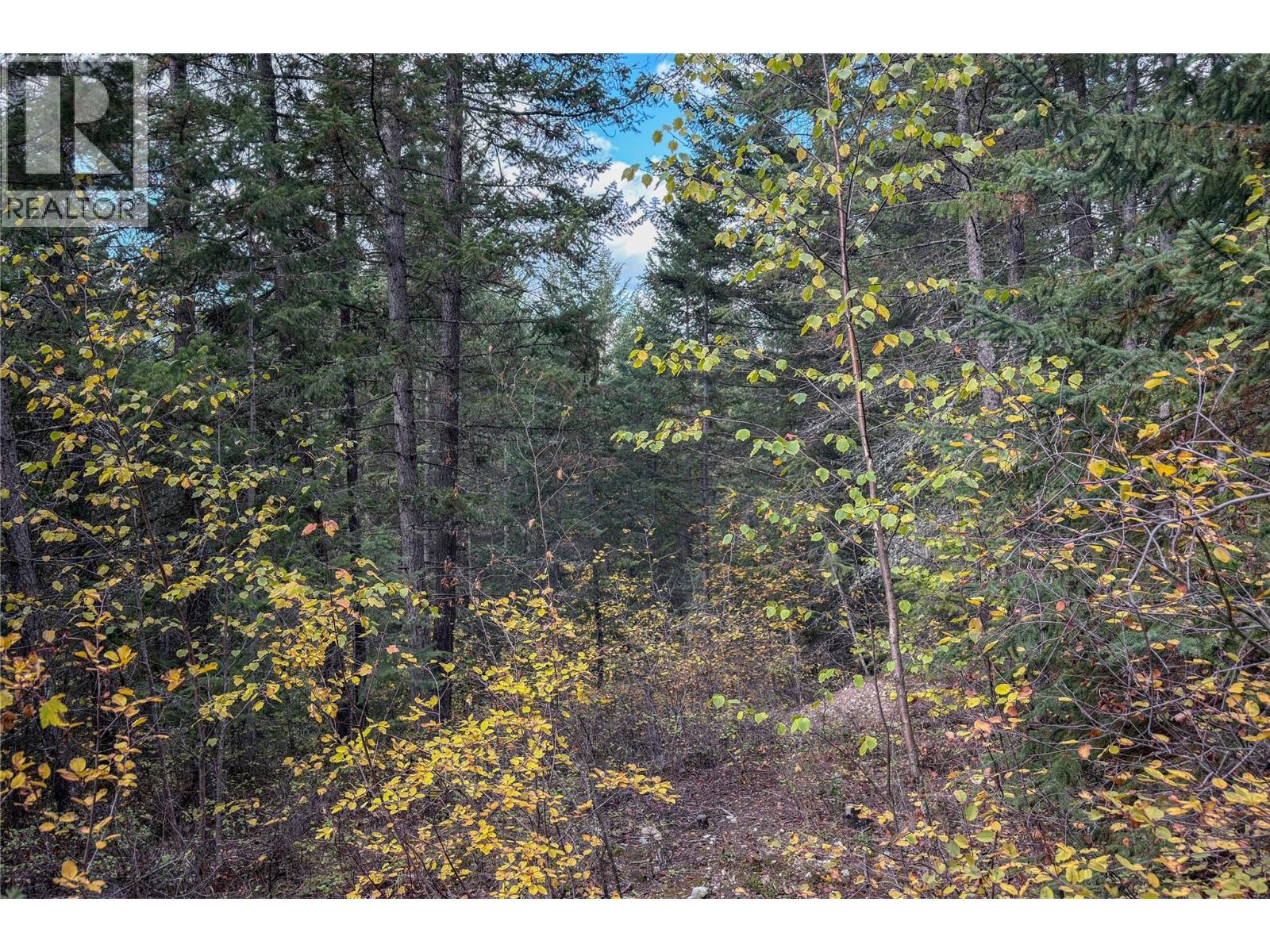 1260 Whitetail Drive, Golden, British Columbia  V0A 1H7 - Photo 9 - 10402883