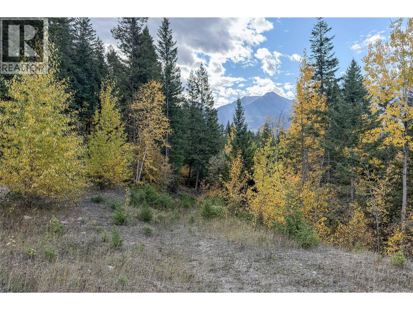 1260 Whitetail Drive, Golden, British Columbia  V0A 1H7 - Photo 2 - 10402883