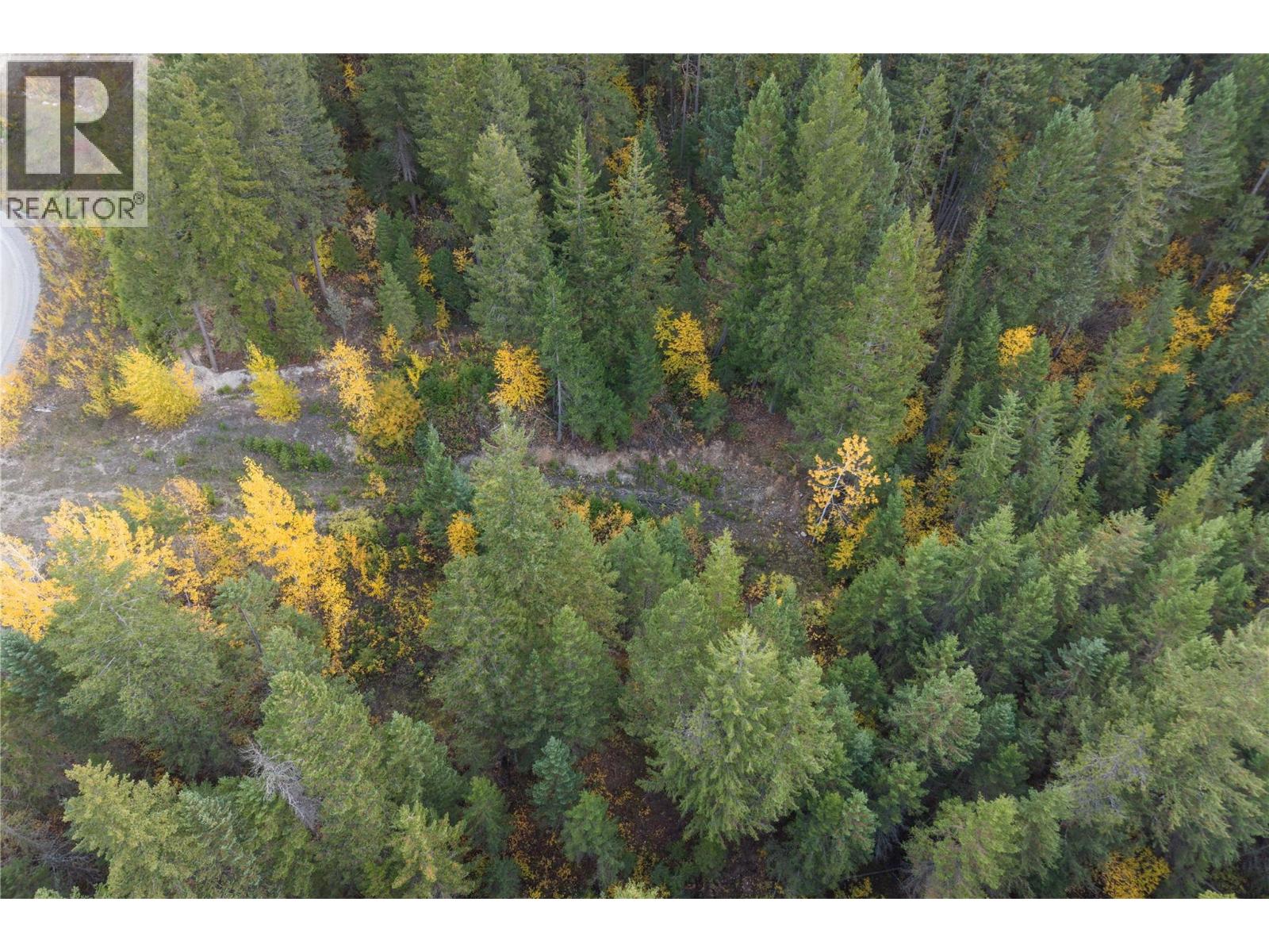 1260 Whitetail Drive, Golden, British Columbia  V0A 1H7 - Photo 10 - 10402883
