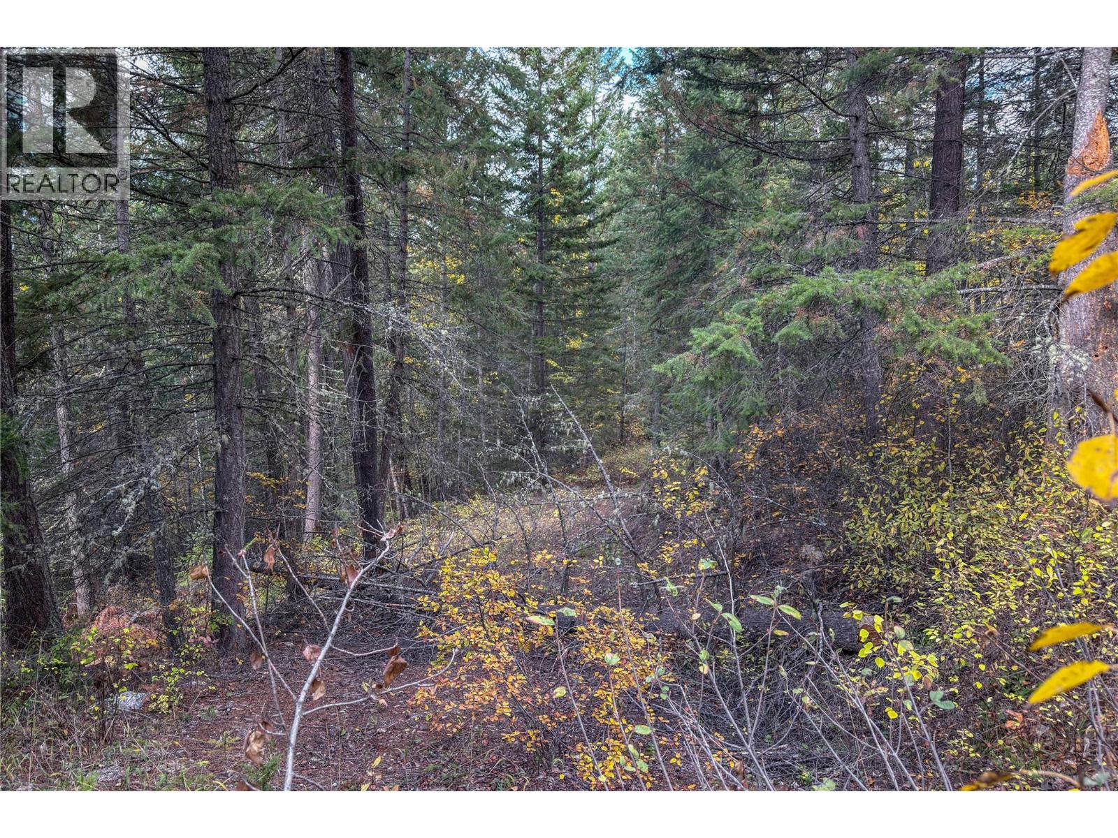 1260 Whitetail Drive, Golden, British Columbia  V0A 1H7 - Photo 12 - 10402883
