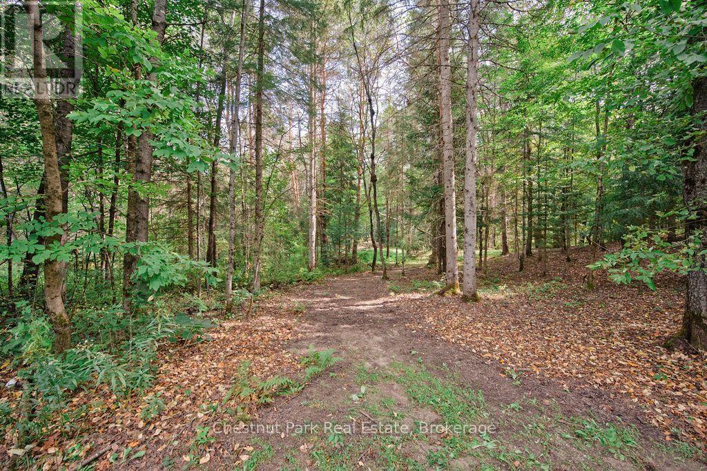 123 East Waseosa Lk Road, Huntsville, Ontario P1H 2J4 - Photo 44 - X13876970