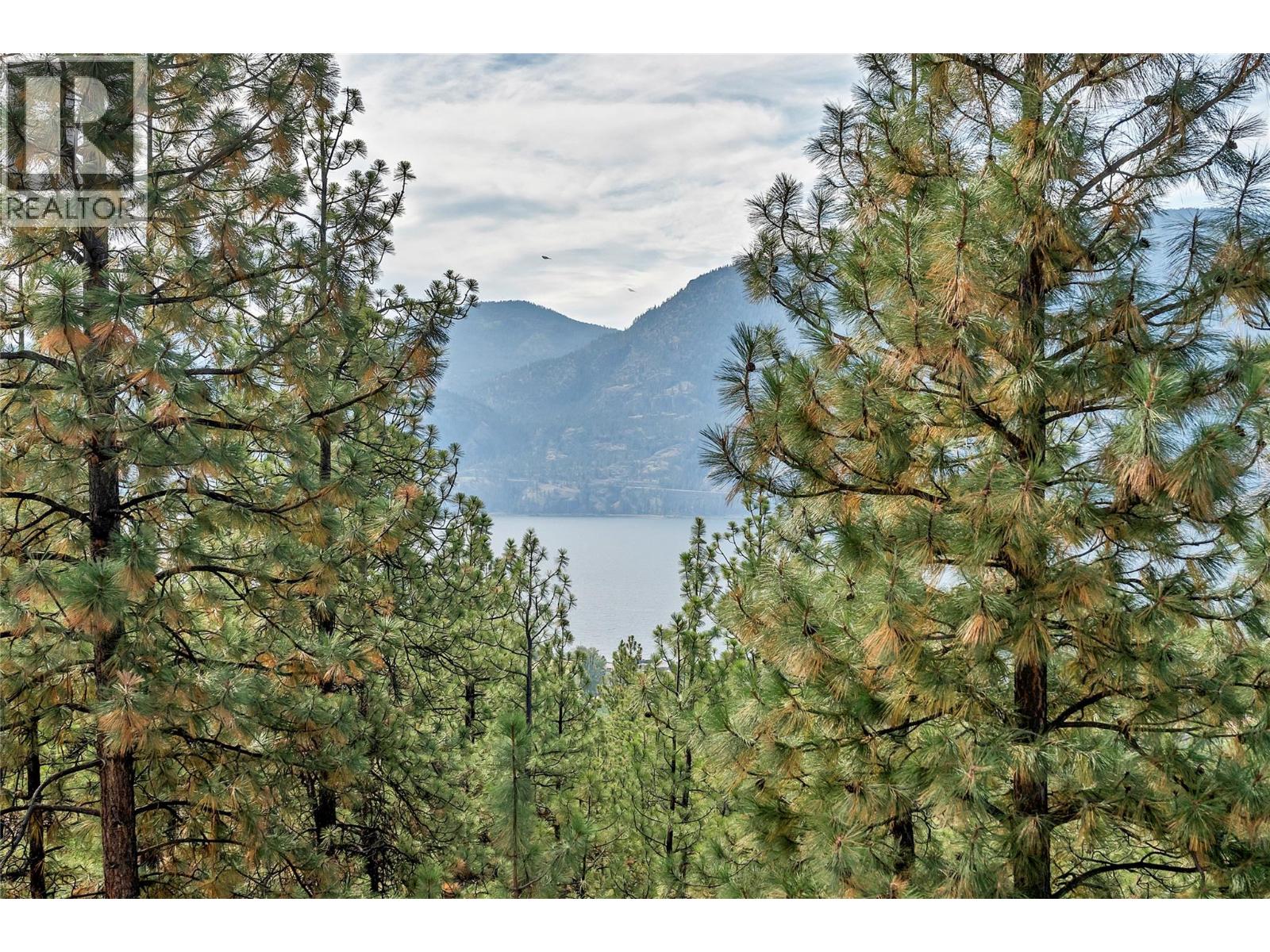 3331 Evergreen Drive Unit# 117, Penticton, British Columbia  V2A 0J3 - Photo 53 - 10403035
