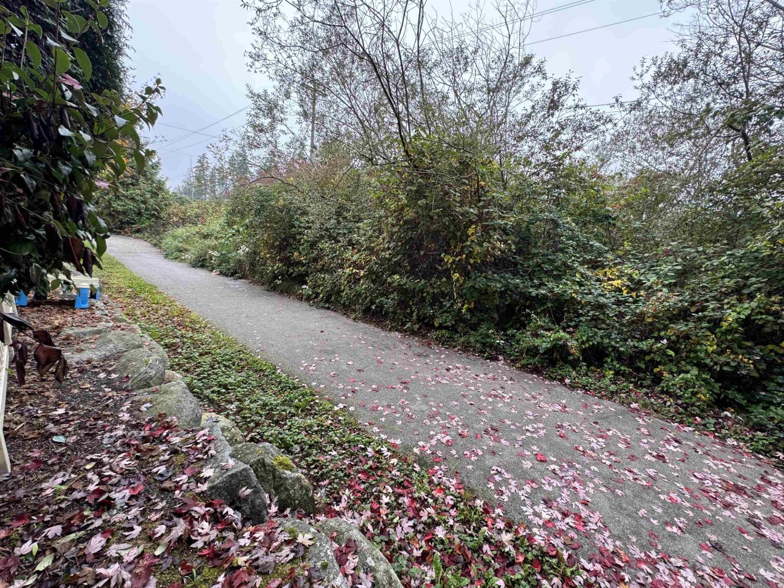 49 15155 62a Avenue, Surrey, British Columbia  V3S 8A6 - Photo 30 - R3173771