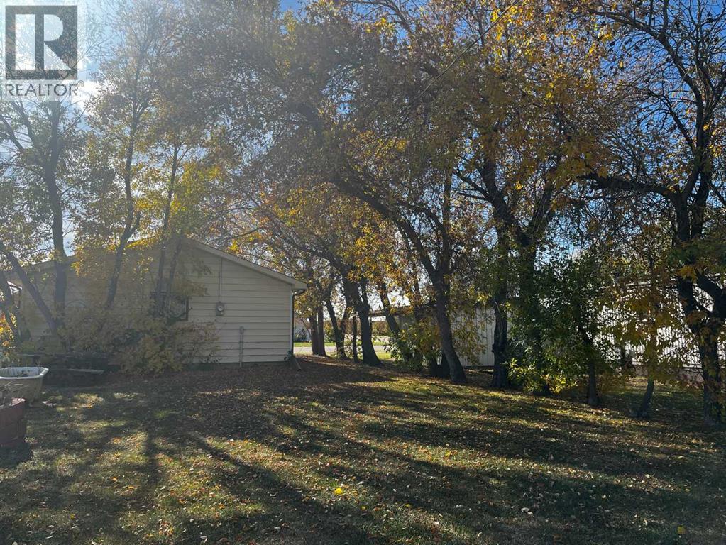 236 2 Avenue W, Hussar, Alberta  T0J 1S0 - Photo 2 - A2350064