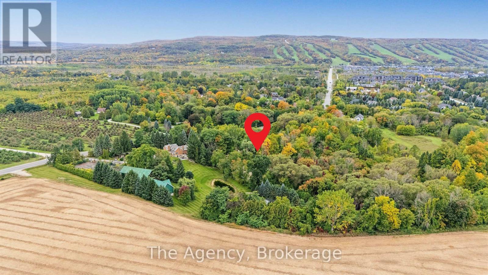 645 Mountain Road, Collingwood, Ontario  L9Y 5G2 - Photo 3 - S13877370