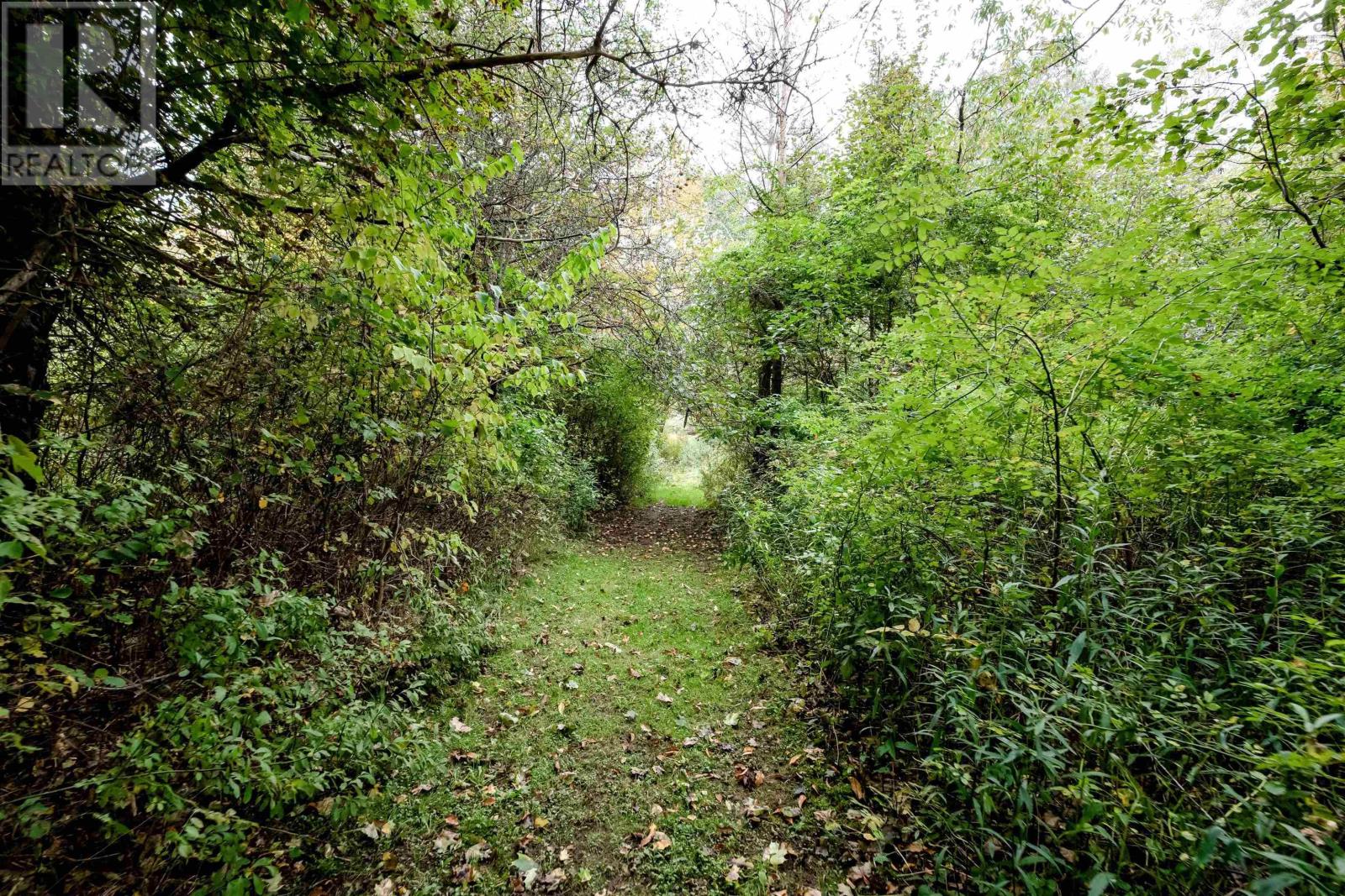 picture 38