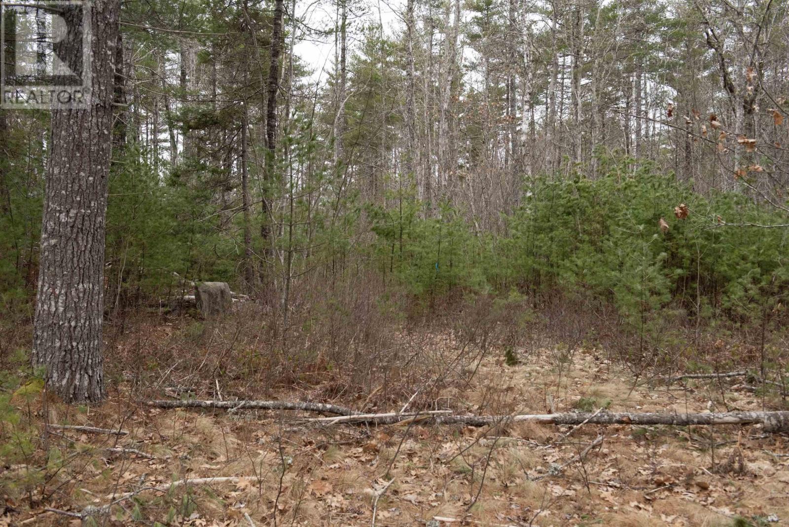 PID#70105796 Medway River Road Charleston Nova Scotia Canada B0J2H0 2
