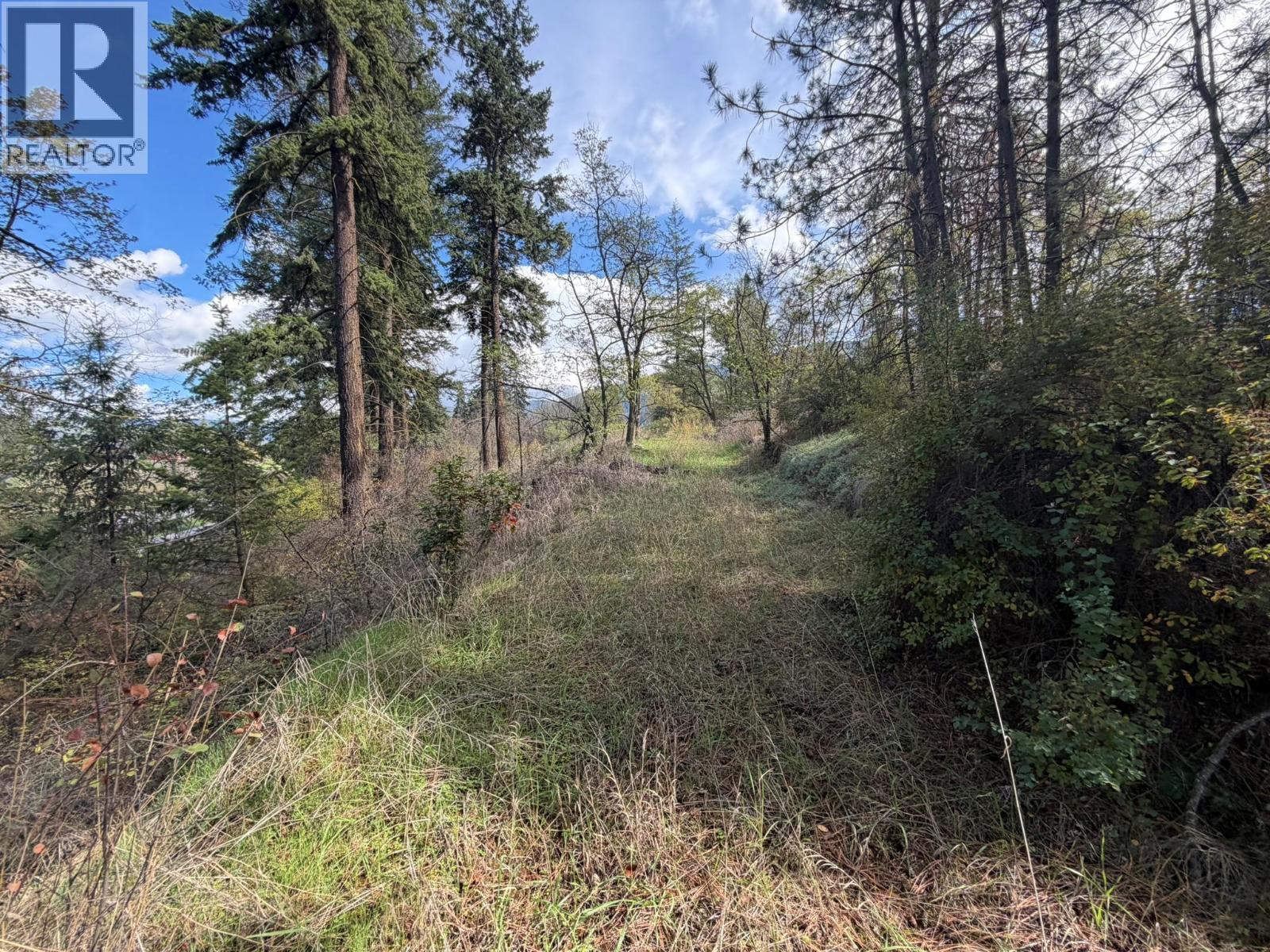 5440 Silver Star Road, Vernon, British Columbia  V1B 3K4 - Photo 64 - 10402078
