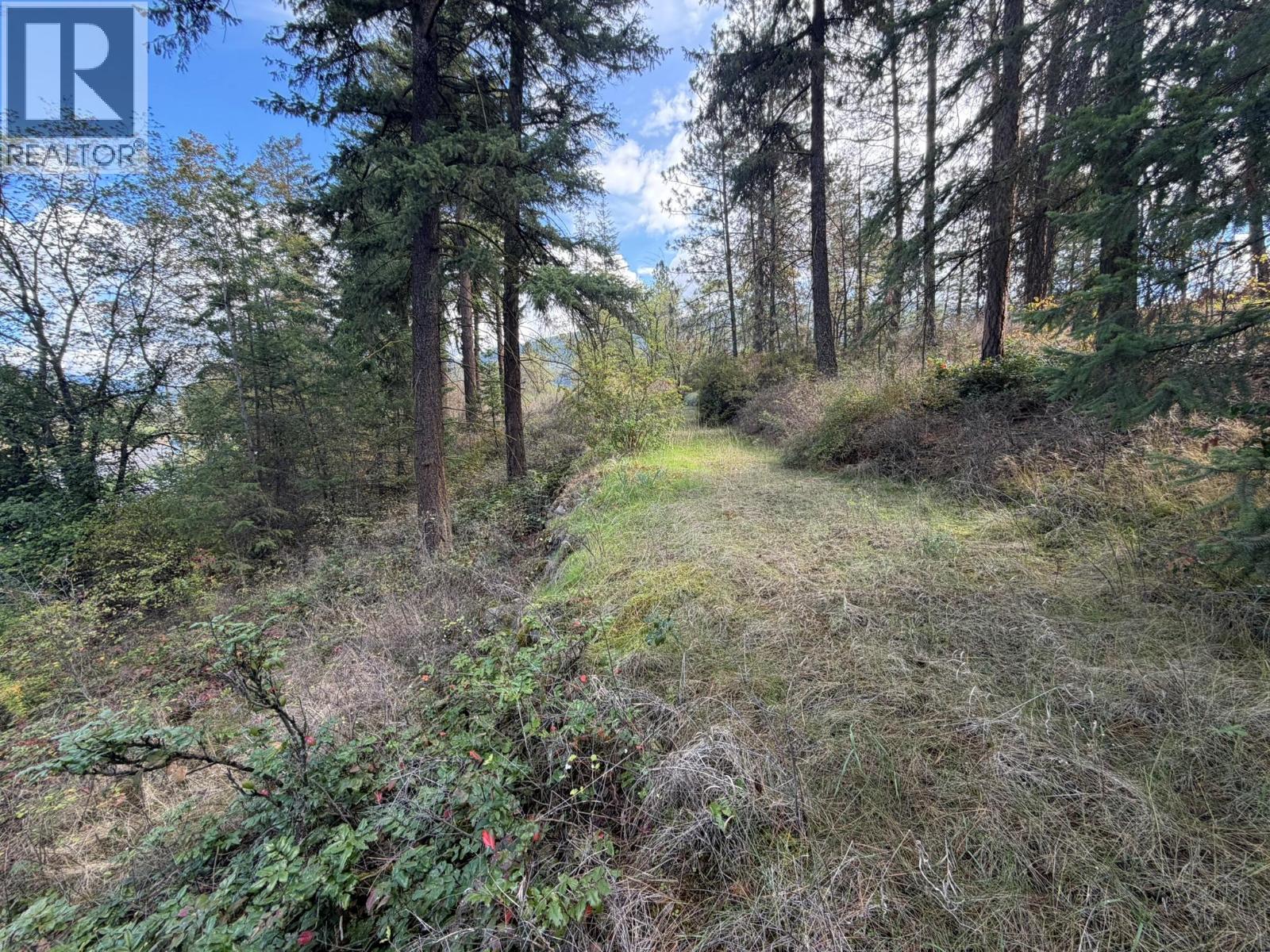 5440 Silver Star Road, Vernon, British Columbia  V1B 3K4 - Photo 61 - 10402078