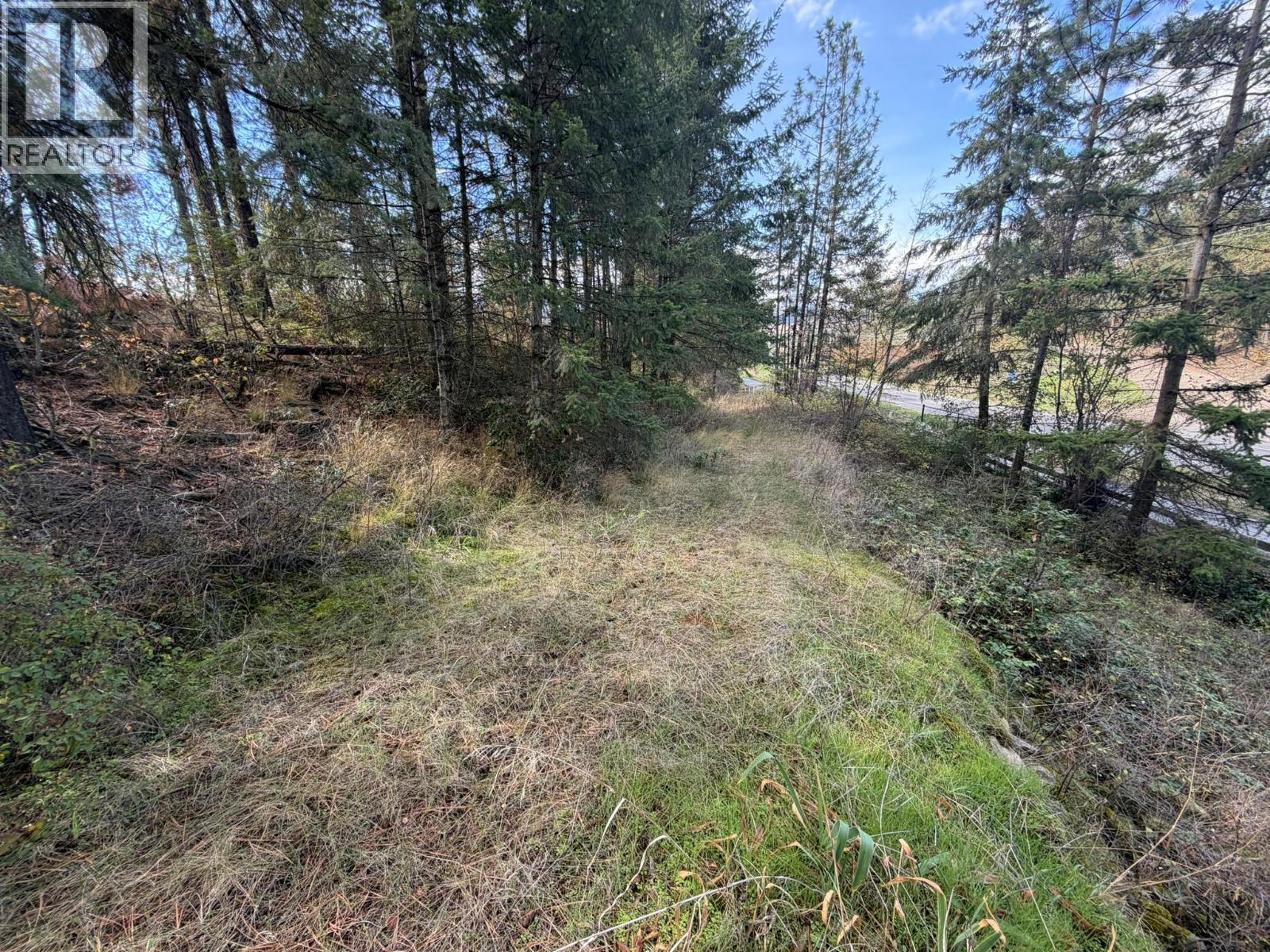5440 Silver Star Road, Vernon, British Columbia  V1B 3K4 - Photo 60 - 10402078
