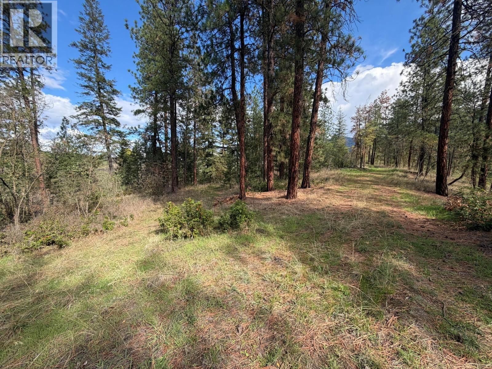 5440 Silver Star Road, Vernon, British Columbia  V1B 3K4 - Photo 58 - 10402078
